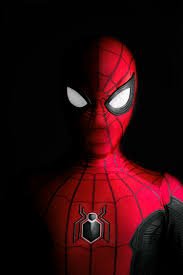 SPIDER MAN