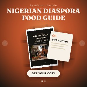 The Nigerian Diaspora Food Guide