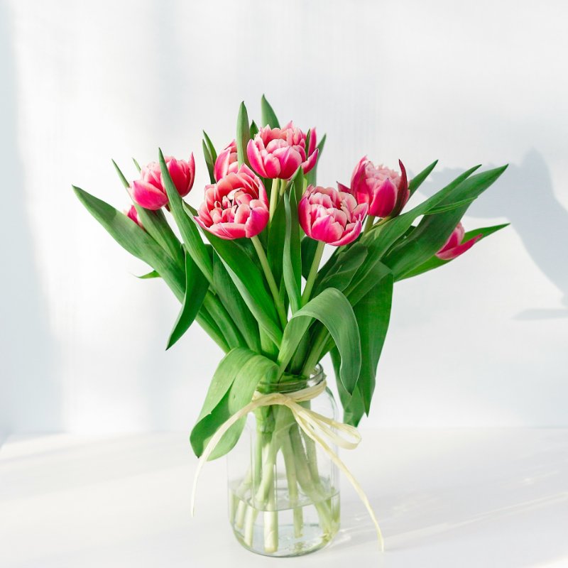 Classic Red Roses